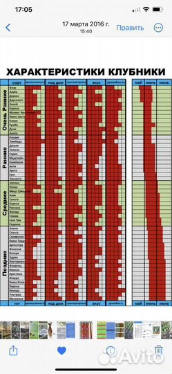Рассада клубники