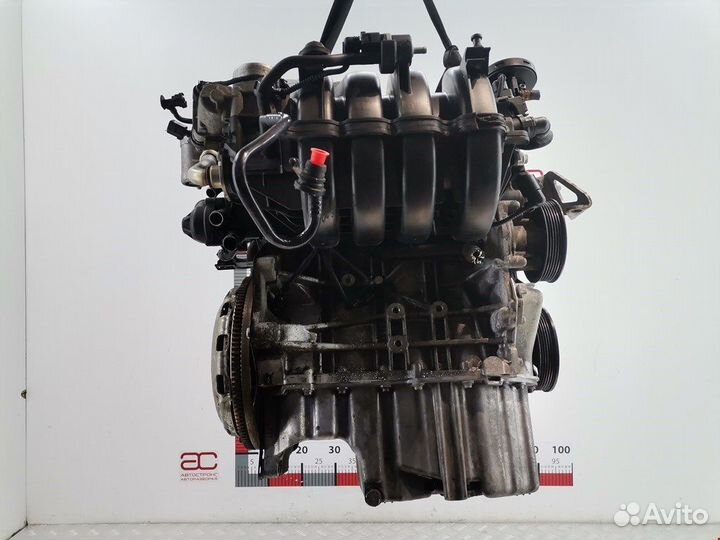 Двигатель (двс) для Volkswagen Golf 5 BLF