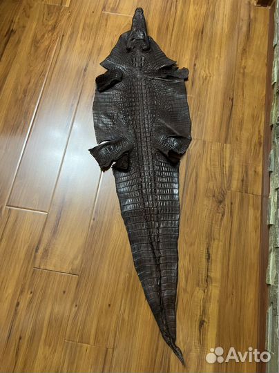 Кожа крокодила.Натуральная