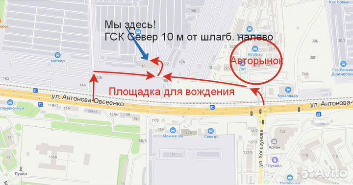 Мотыль, Червь, Дендробена, Опарыш