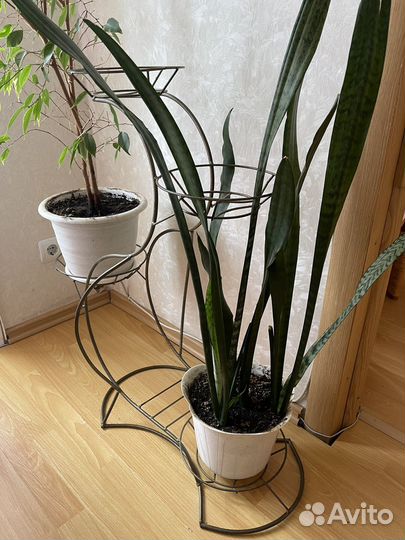 Пдставки для цветов