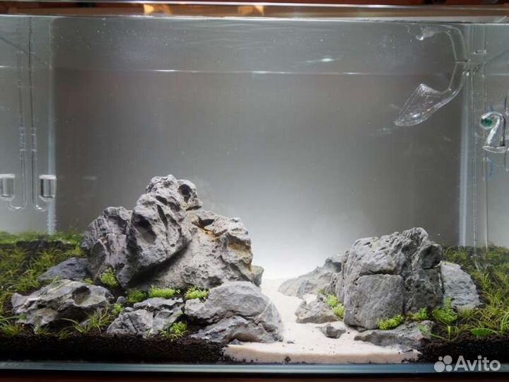 Задний фон для аквариума