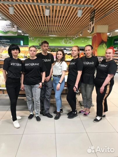 Счетчик ревизор Пенза