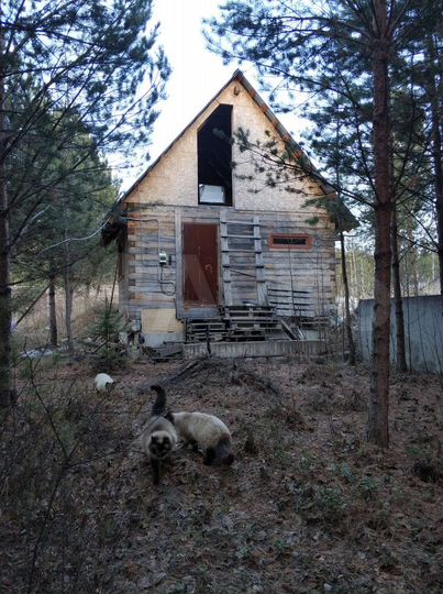 Дом 40 м² на участке 10 сот.