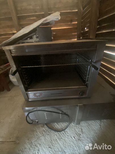 Саламандра