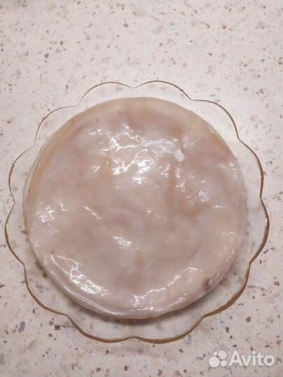 Чайный гриб - Комбуча