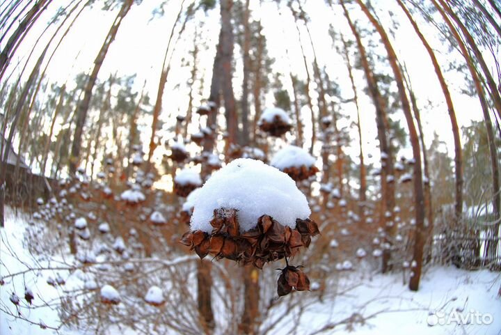 Объектив Nikon Nikkor 10.5 mm 2.8 ED G AF Fisheye