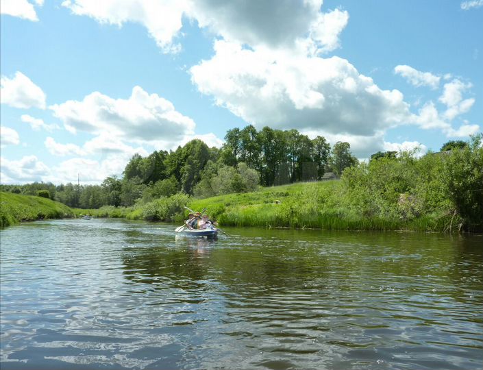 Дом 50 м² на участке 28 сот.