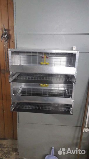 Клетка для перепелов