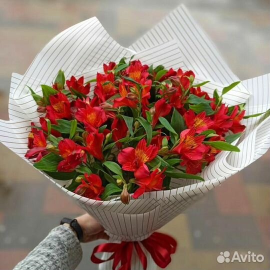 Букет 543 Альстромерия красная 11 шт