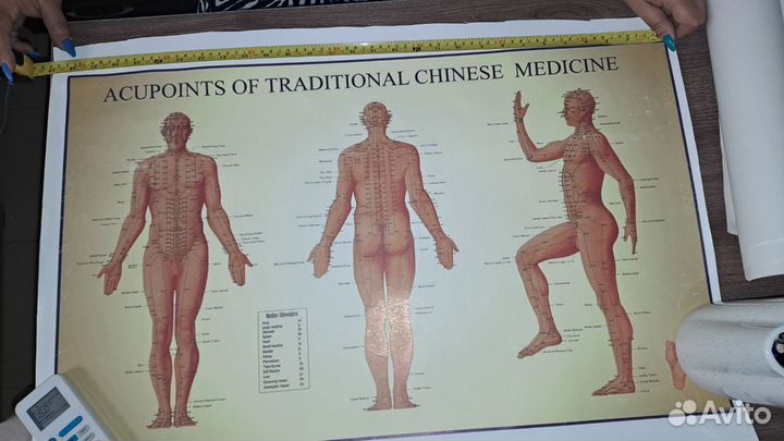 Плакат схемы акупунктурных точек и меридианов. ткм