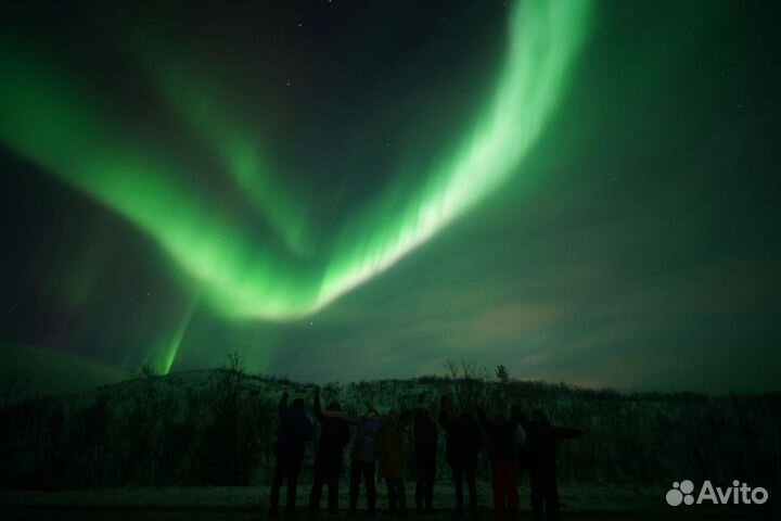 Тур в Мурманск 13-16 января