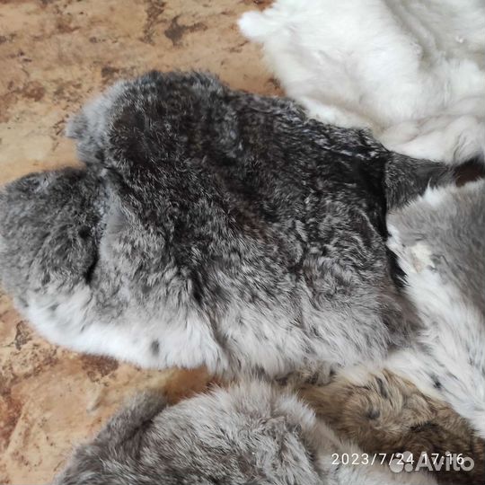 Шкурки кролика