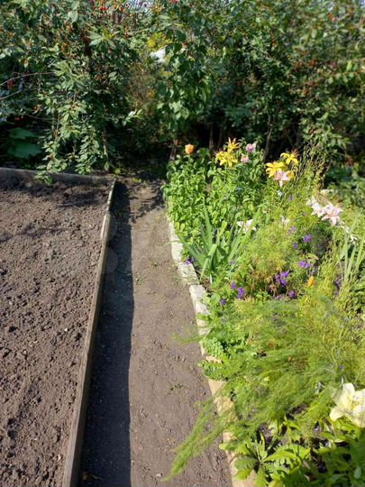 Дача 20 м² на участке 4 сот.