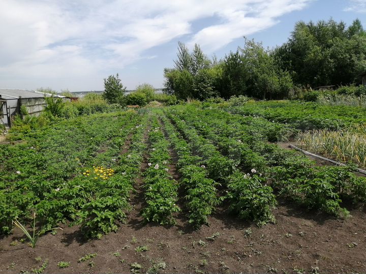 Участок 10 сот. (ИЖС)