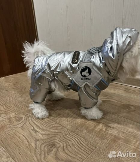 Комбенизон для собак