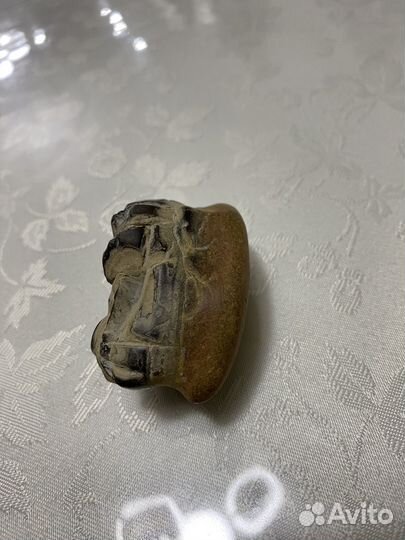 Живая кремнивая форма жизни