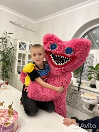 Аниматор Хаги Ваги и Киси Миси