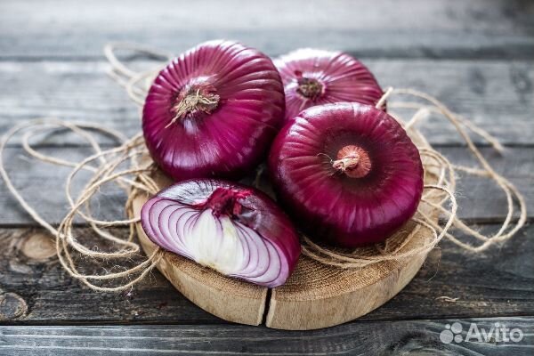 Ялтинский лук от Крымского Производителя урожай 23