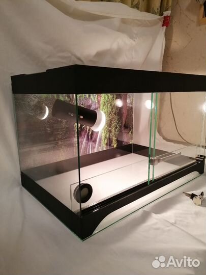 Взрослый маисовый полоз + террариум с наполнением