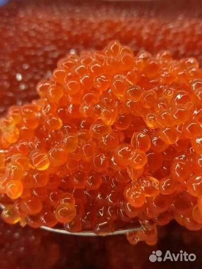 Красная икра 2023г. Камчатская, доставка