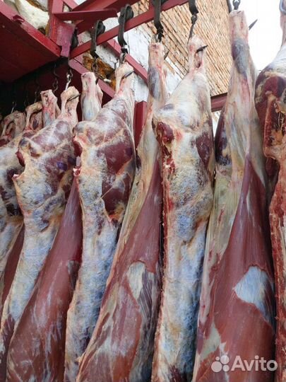 Мясо говядины