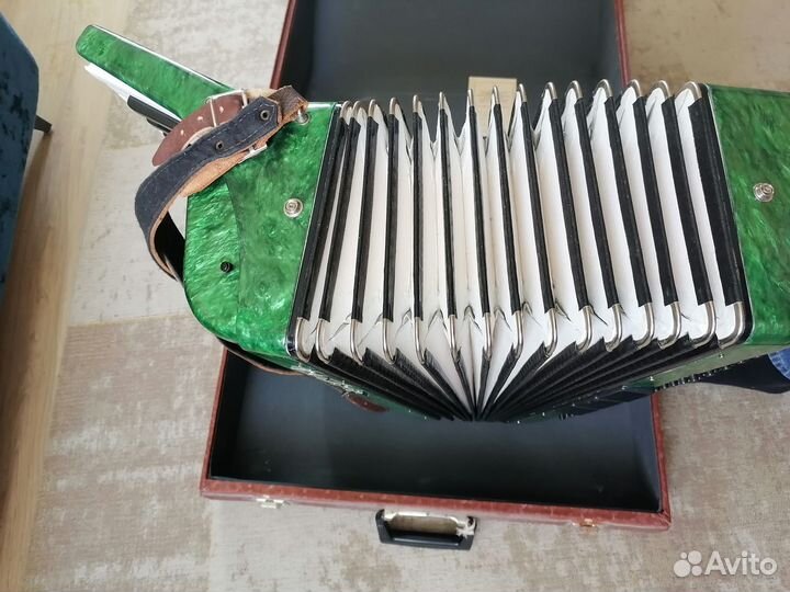 Аккордеон Борей