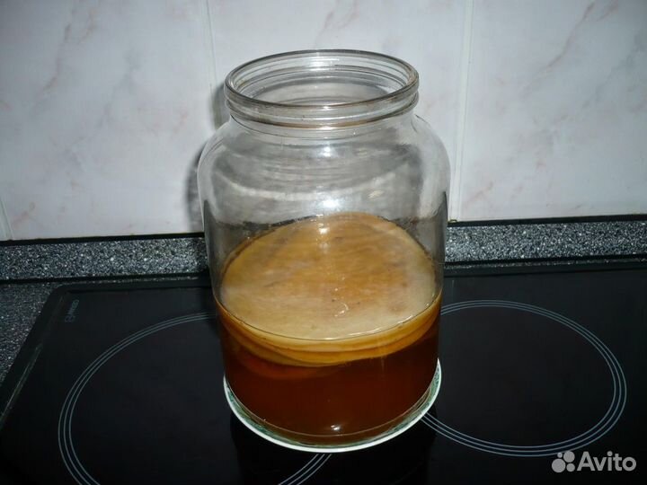 Чайный гриб