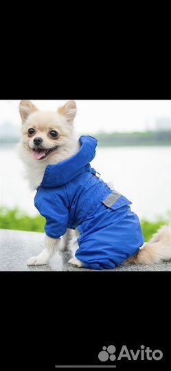 Дождевик для собаки мелких и средних пород