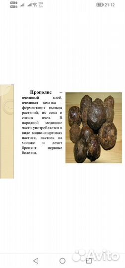 Прополис пчелиный