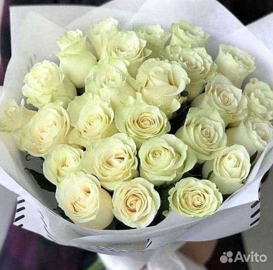 Розы Цветы Букеты 25 151 201 101 301 501 опт