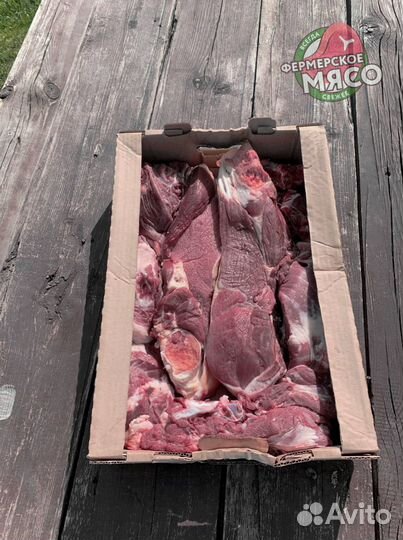 Мясо говядина