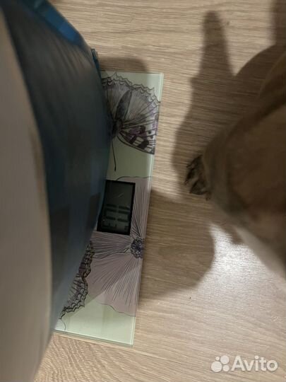 Корм для собак monge гипоалергенный