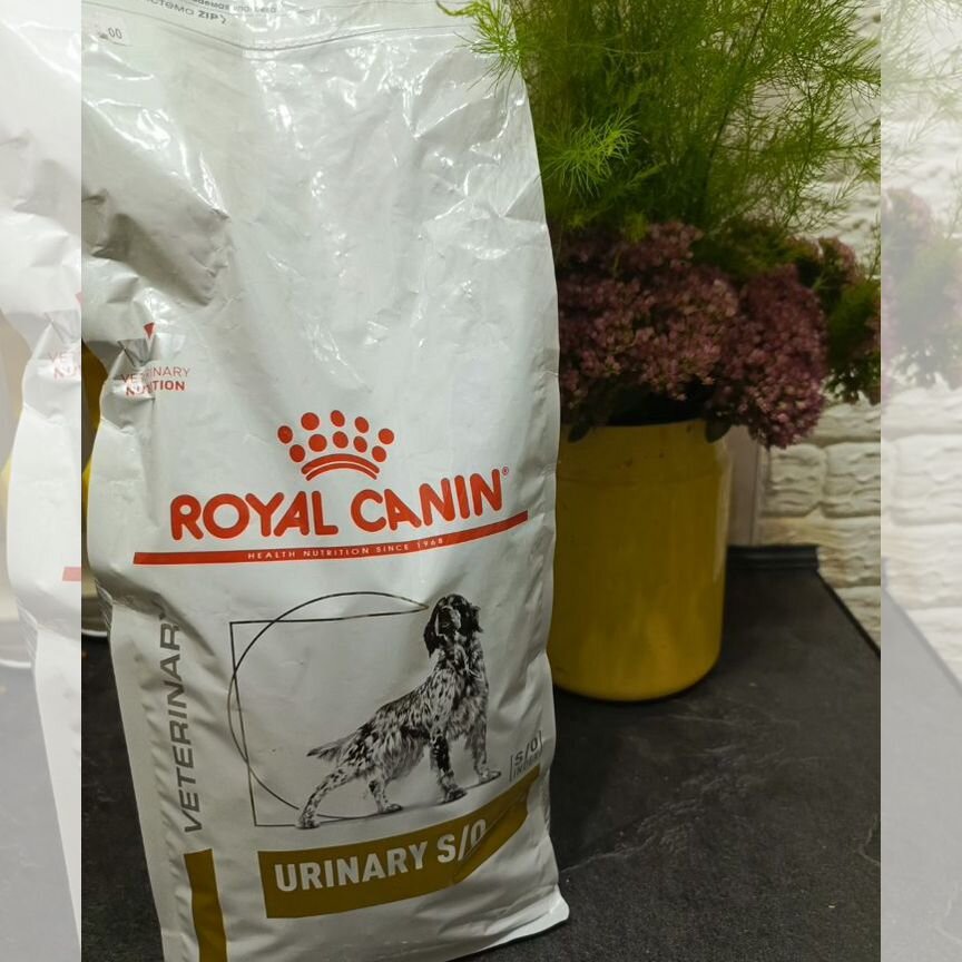 Корм для собак Royal Canin urinary s/o просрок