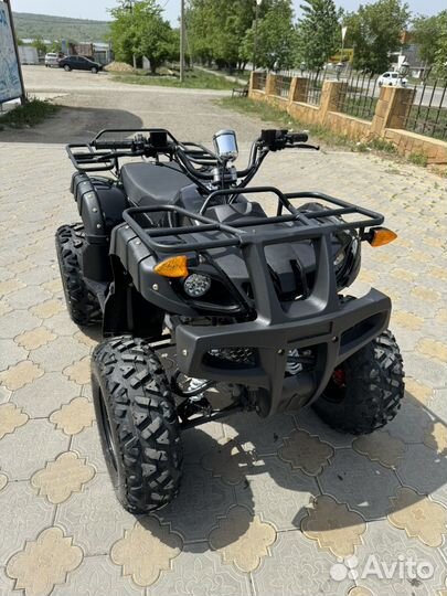 Grizzly ATV 200