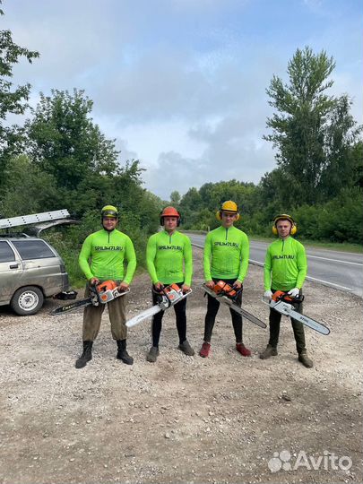 Пильщик деревьев