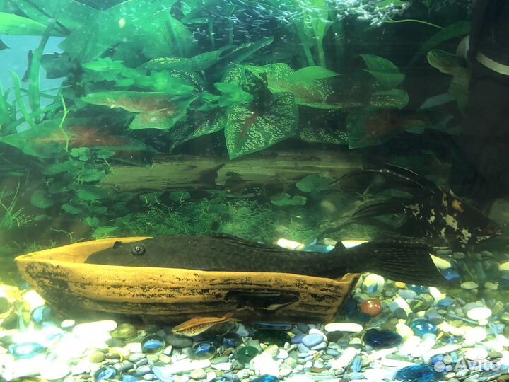 Аквариум с тумбой