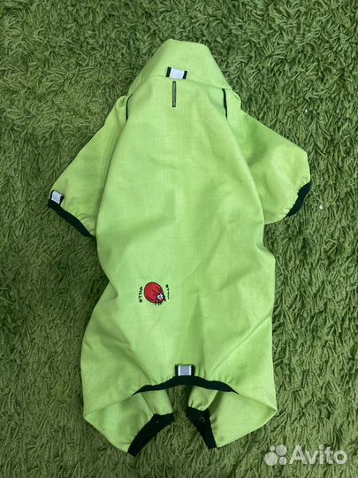 Одежда для собак