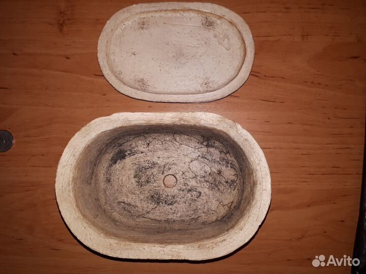 Бансайница