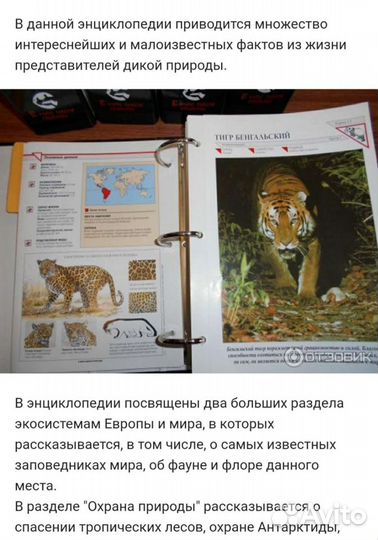 Энциклопедия в Мире дикой природы