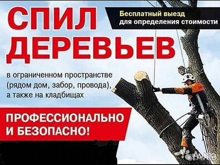 Обрезка плодовых. Спилить дерево