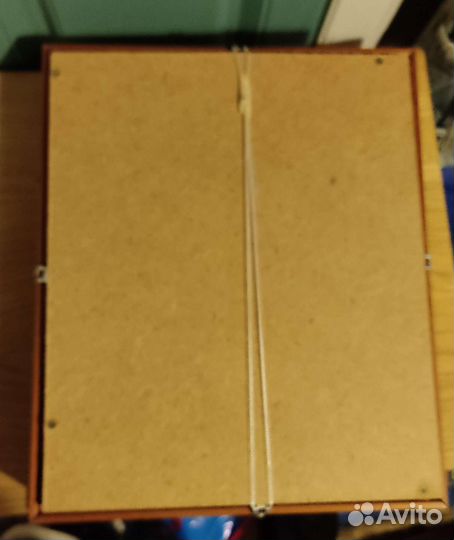 Картина морские ракушки