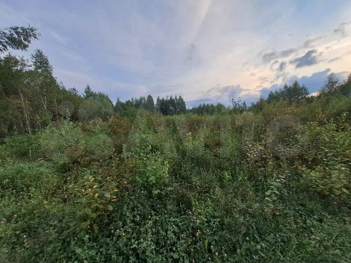 Участок 12 сот. (ИЖС)