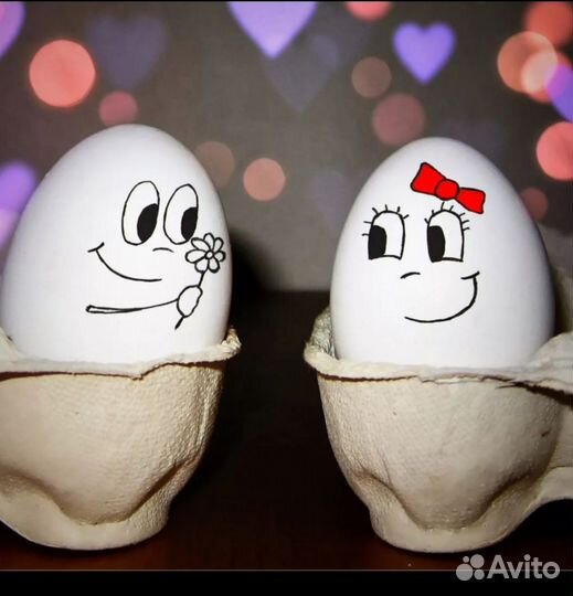 Ия Пушкинской породы, цыплята