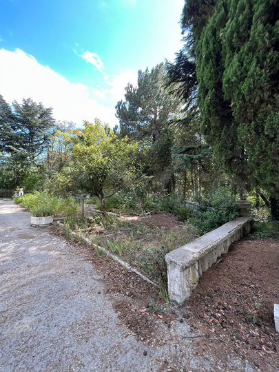 Участок 5 га (ИЖС)