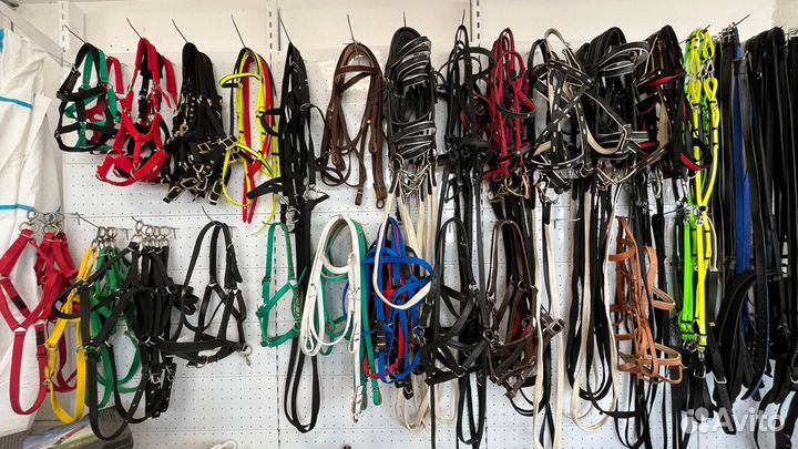 Седло для лошади спортивное teng