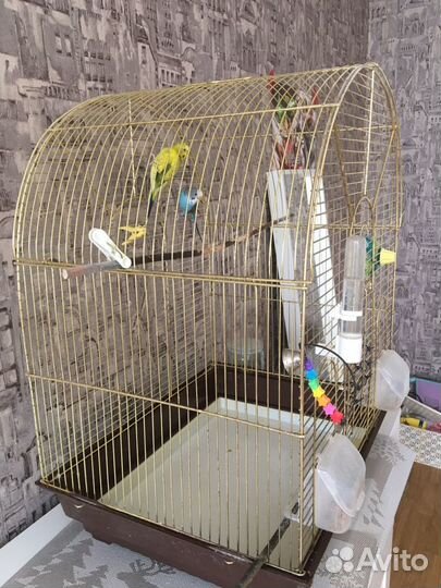 Клетка для птиц
