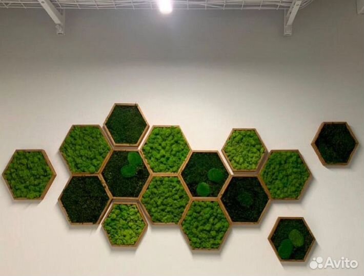 Панно. Декор. Стабилизированный мох