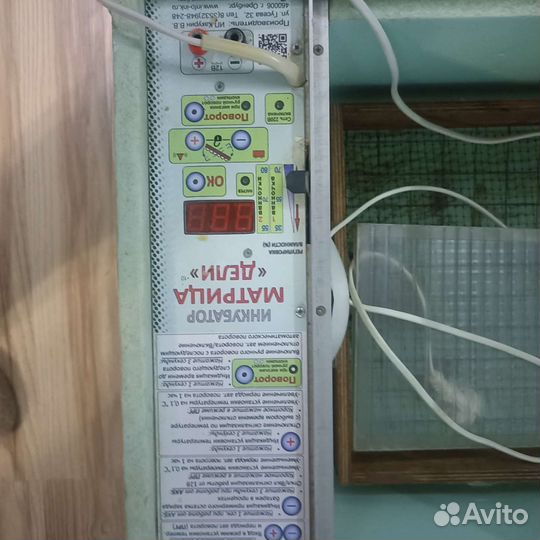 Инкубатор Матрица Дели