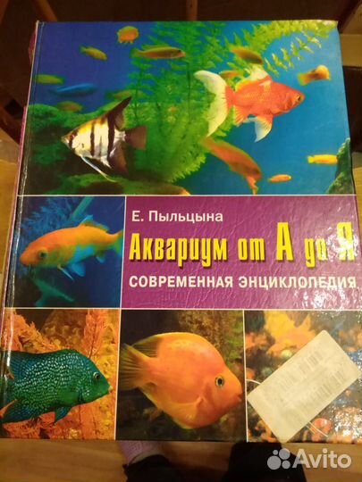Энциклопедия